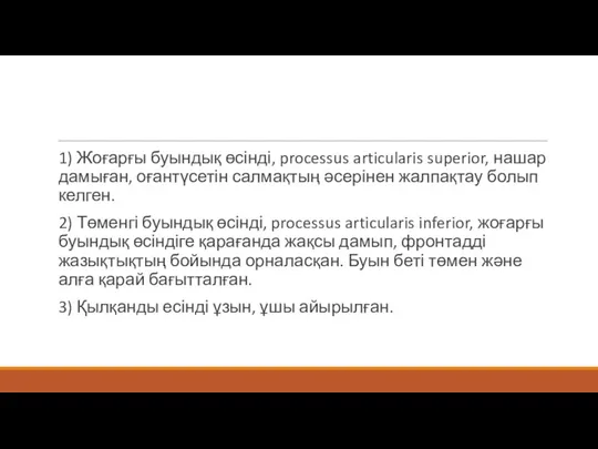 1) Жоғарғы буындық өсінді, processus articularis superior, нашар дамыған, оғантүсетін салмақтың әсерінен жалпақтау