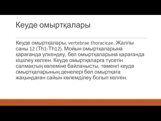 Кеуде омыртқалары Кеуде омыртқалары, vertebrae thoracicae. Жалпы саны 12 (Тһ1-Тһ12).