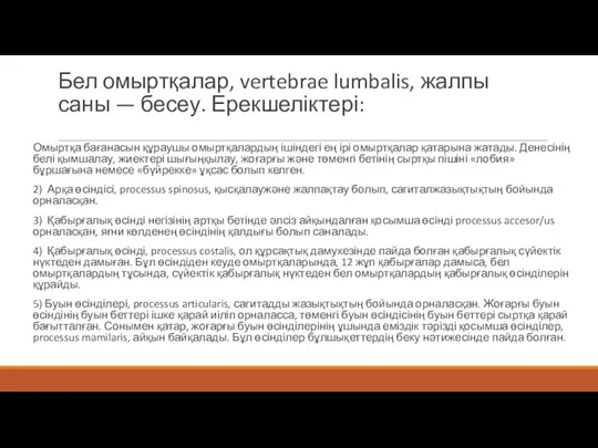 Бел омыртқалар, vertebrae lumbalis, жалпы саны — бесеу. Ерекшеліктері: Омыртқа бағанасын құраушы омыртқалардың