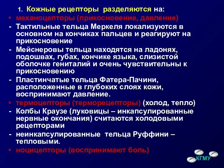 1. Кожные рецепторы разделяются на: механоцепторы (прикосновение, давление) Тактильные тельца