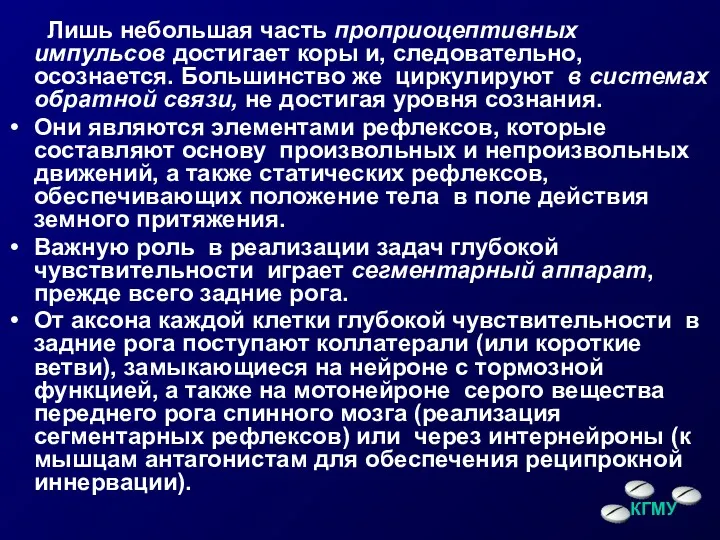 Лишь небольшая часть проприоцептивных импульсов достигает коры и, следовательно, осознается.