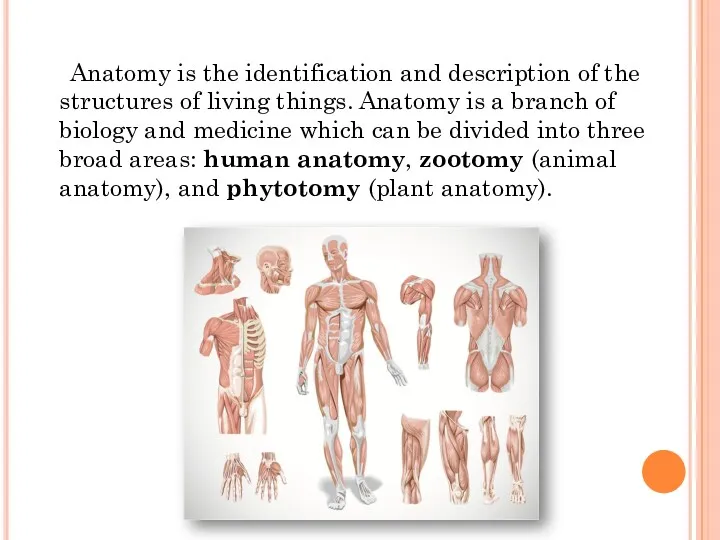 Anatomy is the identification and description of the structures of living things. Anatomy