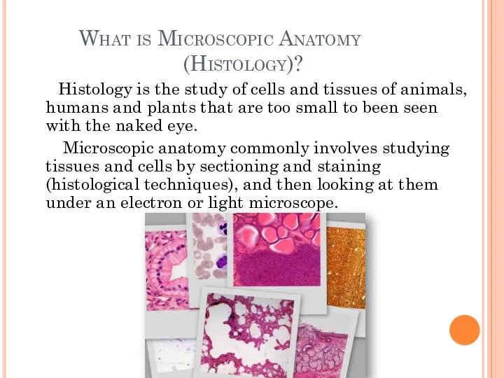 What is Microscopic Anatomy (Histology)? Histology is the study of cells and tissues