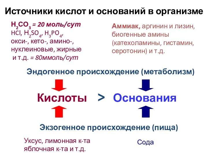 Источники кислот и оснований в организме Кислоты > Основания Экзогенное