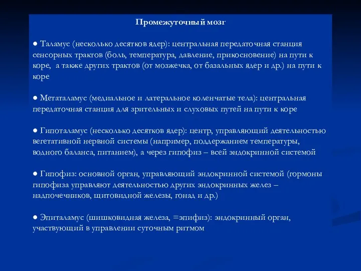 Промежуточный мозг ● Таламус (несколько десятков ядер): центральная передаточная станция