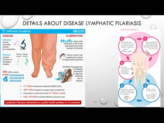 DETAILS ABOUT DISEASE LYMPHATIC FILARIASIS