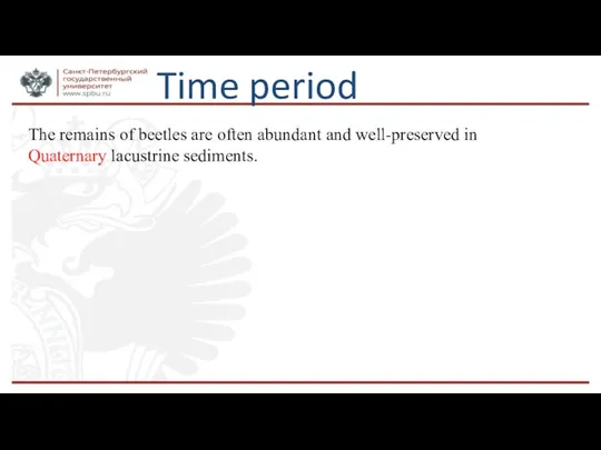 Time period The remains of beetles are often abundant and well-preserved in Quaternary lacustrine sediments.