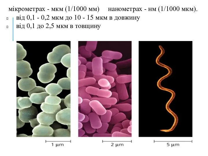 мікрометрах - мкм (1/1000 мм) нанометрах - нм (1/1000 мкм).