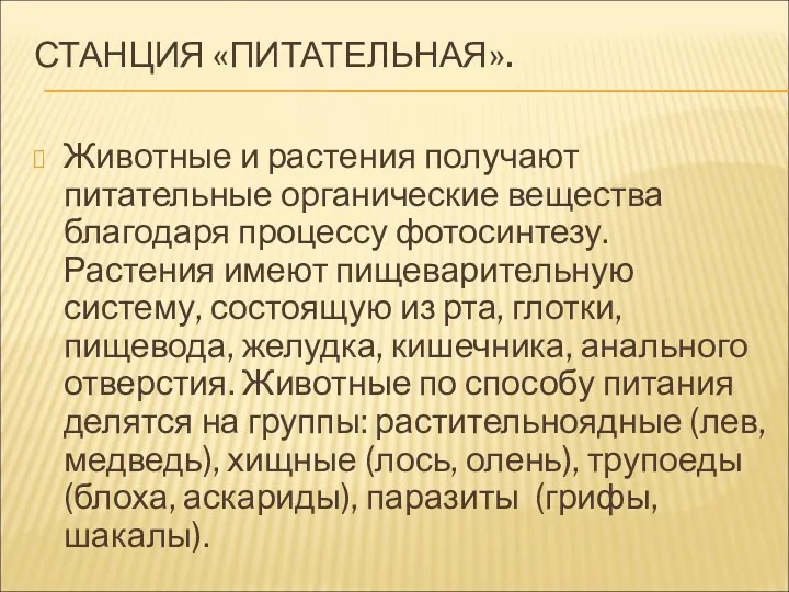 СТАНЦИЯ «ПИТАТЕЛЬНАЯ». Животные и растения получают питательные органические вещества благодаря