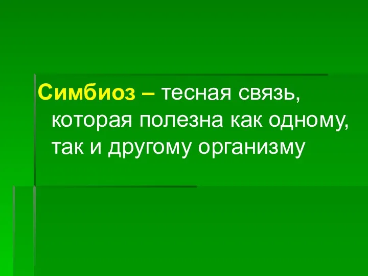 Симбиоз – тесная связь, которая полезна как одному, так и другому организму