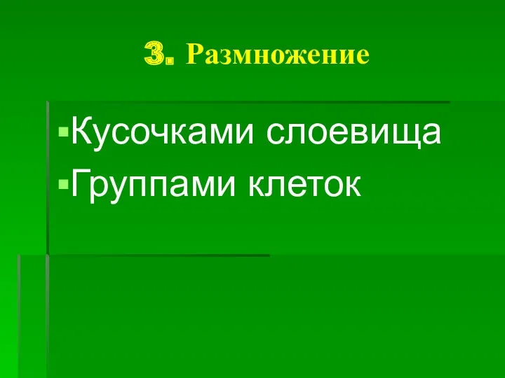 3. Размножение Кусочками слоевища Группами клеток