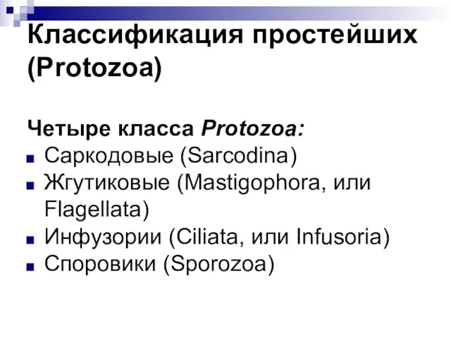 Классификация простейших (Рrotozoa) Четыре класса Protozoa: Саркодовые (Sarcodina) Жгутиковые (Mastigophora,