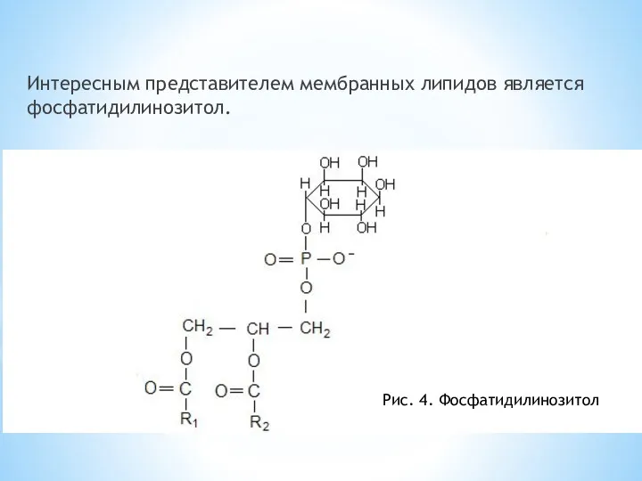 Интересным представителем мембранных липидов является фосфатидилинозитол. Рис. 4. Фосфатидилинозитол