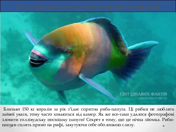 Голлівудська посмішка риби-папуги Близько 150 кг коралів за рік з’їдає спритна риба-папуга. Ці
