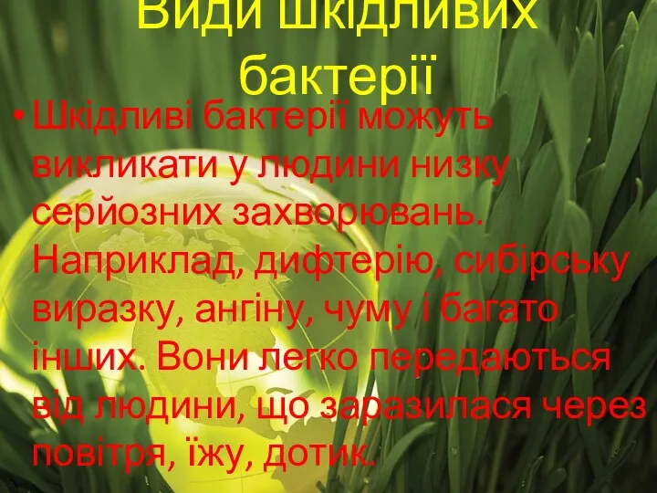 Види шкідливих бактерії Шкідливі бактерії можуть викликати у людини низку