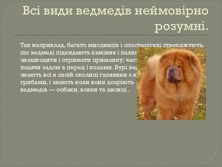 Всі види ведмедів неймовірно розумні. Так наприклад, багато мисливців і