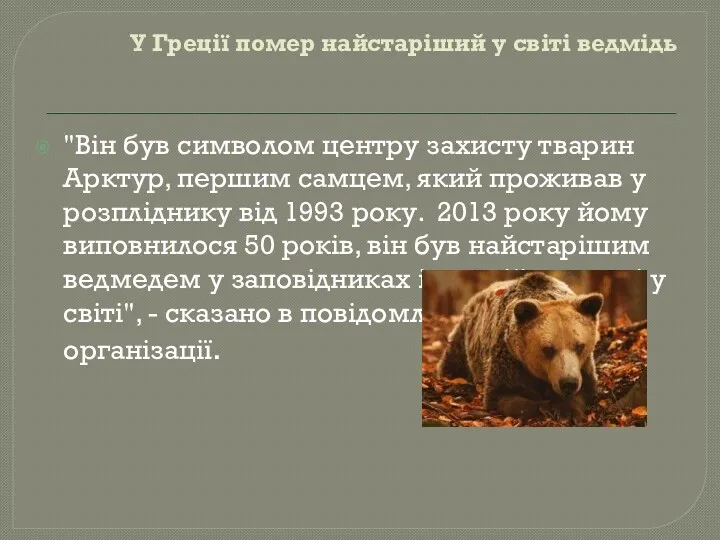 У Греції помер найстаріший у світі ведмідь "Він був символом