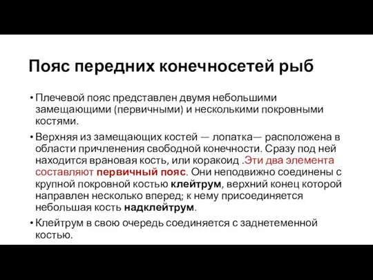 Пояс передних конечносетей рыб Плечевой пояс представлен двумя небольшими замещающими (первичными) и несколькими