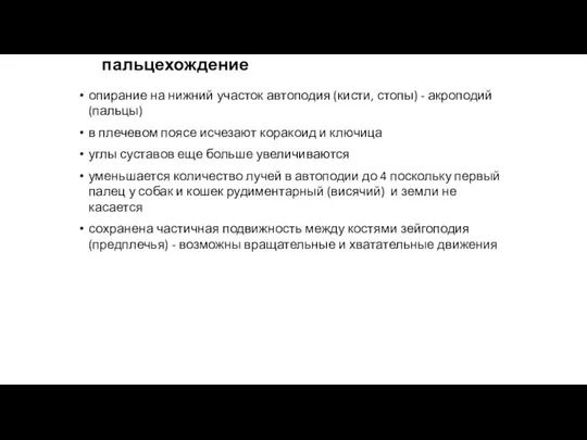 пальцехождение опирание на нижний участок автоподия (кисти, стопы) - акроподий