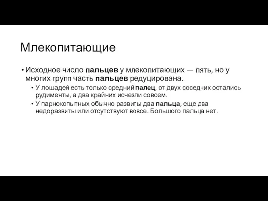 Млекопитающие Исходное число пальцев у млекопитающих — пять, но у многих групп часть