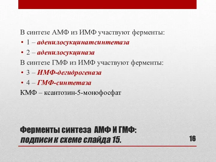 Ферменты синтеза АМФ И ГМФ: подписи к схеме слайда 15.