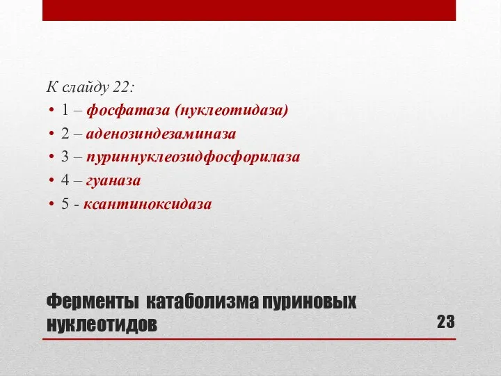 Ферменты катаболизма пуриновых нуклеотидов К слайду 22: 1 – фосфатаза