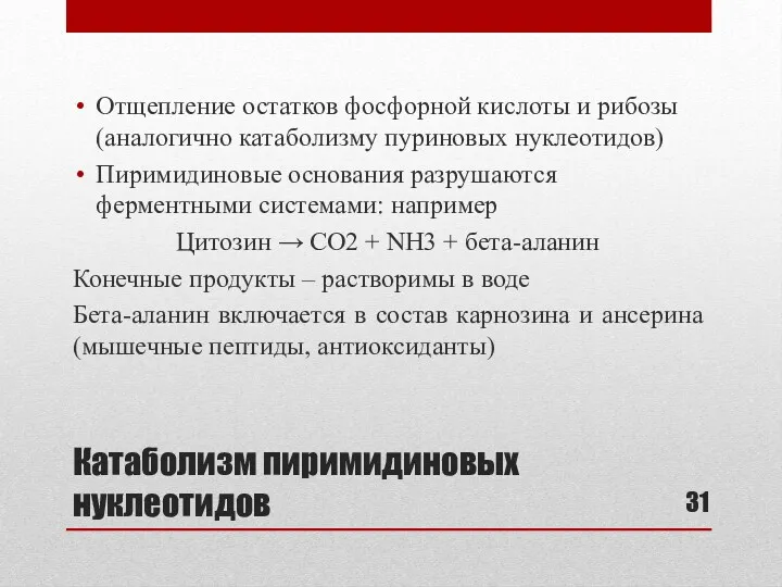 Катаболизм пиримидиновых нуклеотидов Отщепление остатков фосфорной кислоты и рибозы (аналогично