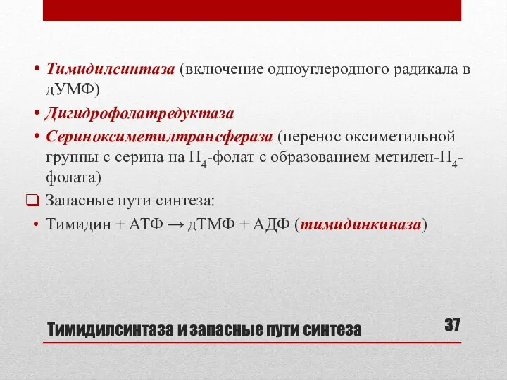 Тимидилсинтаза и запасные пути синтеза Тимидилсинтаза (включение одноуглеродного радикала в