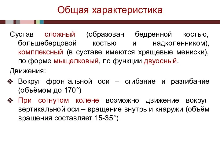 Общая характеристика Сустав сложный (образован бедренной костью, большеберцовой костью и надколенником), комплексный (в