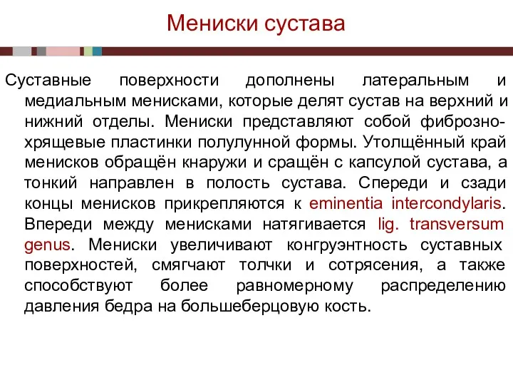 Мениски сустава Суставные поверхности дополнены латеральным и медиальным менисками, которые делят сустав на