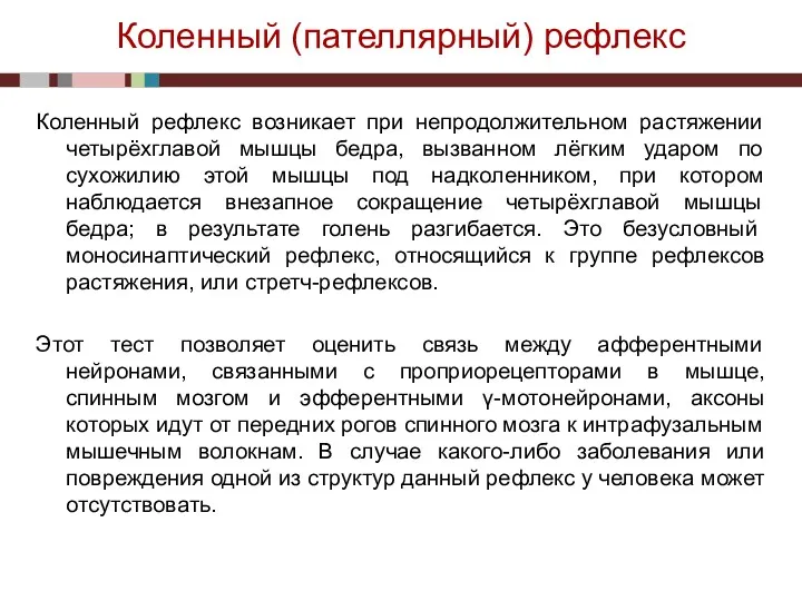 Коленный (пателлярный) рефлекс Коленный рефлекс возникает при непродолжительном растяжении четырёхглавой мышцы бедра, вызванном