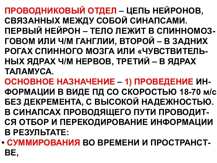 ПРОВОДНИКОВЫЙ ОТДЕЛ – ЦЕПЬ НЕЙРОНОВ, СВЯЗАННЫХ МЕЖДУ СОБОЙ СИНАПСАМИ. ПЕРВЫЙ