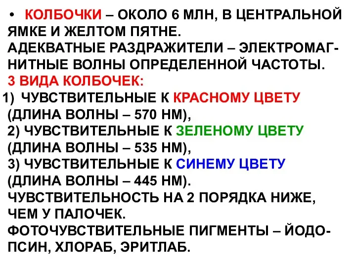 КОЛБОЧКИ – ОКОЛО 6 МЛН, В ЦЕНТРАЛЬНОЙ ЯМКЕ И ЖЕЛТОМ ПЯТНЕ. АДЕКВАТНЫЕ РАЗДРАЖИТЕЛИ