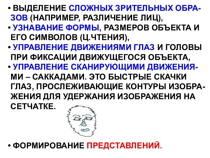 ВЫДЕЛЕНИЕ СЛОЖНЫХ ЗРИТЕЛЬНЫХ ОБРА- ЗОВ (НАПРИМЕР, РАЗЛИЧЕНИЕ ЛИЦ), УЗНАВАНИЕ ФОРМЫ,