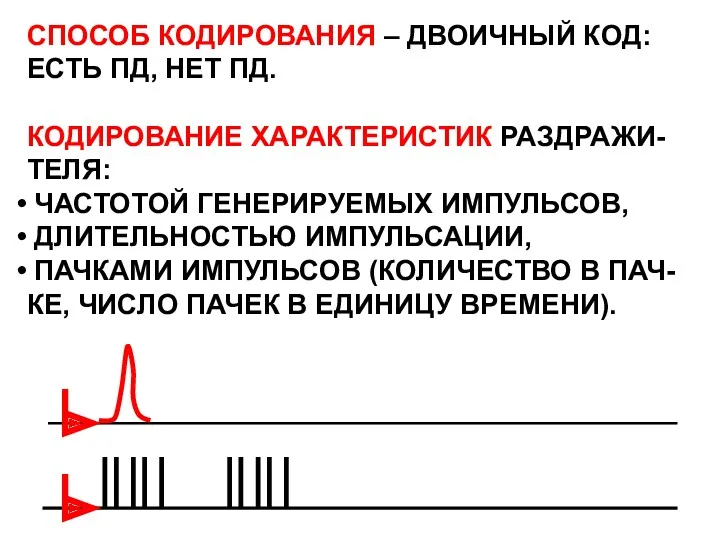 СПОСОБ КОДИРОВАНИЯ – ДВОИЧНЫЙ КОД: ЕСТЬ ПД, НЕТ ПД. КОДИРОВАНИЕ ХАРАКТЕРИСТИК РАЗДРАЖИ- ТЕЛЯ: