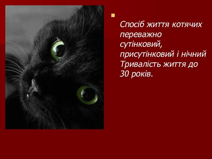 Спосіб життя котячих переважно сутінковий, присутінковий і нічний Тривалість життя до 30 років.