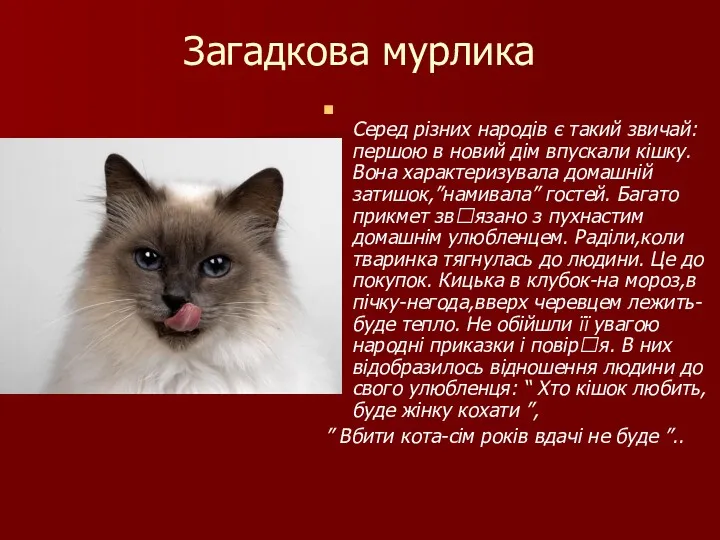 Загадкова мурлика Серед різних народів є такий звичай: першою в