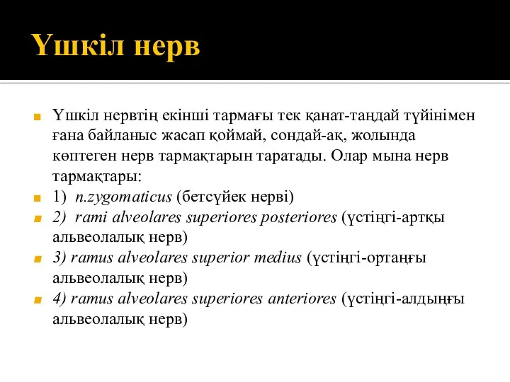 Үшкіл нерв Үшкіл нервтің екінші тармағы тек қанат-таңдай түйінімен ғана