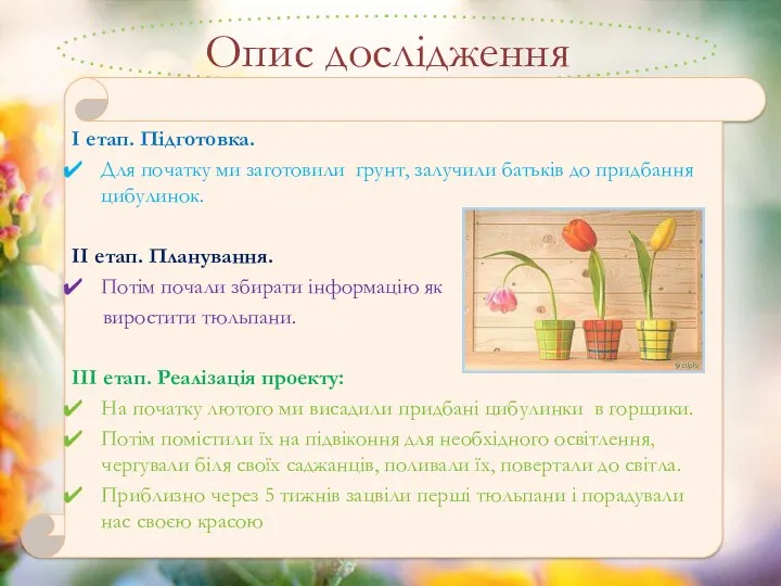 Опис дослідження І етап. Підготовка. Для початку ми заготовили ґрунт,