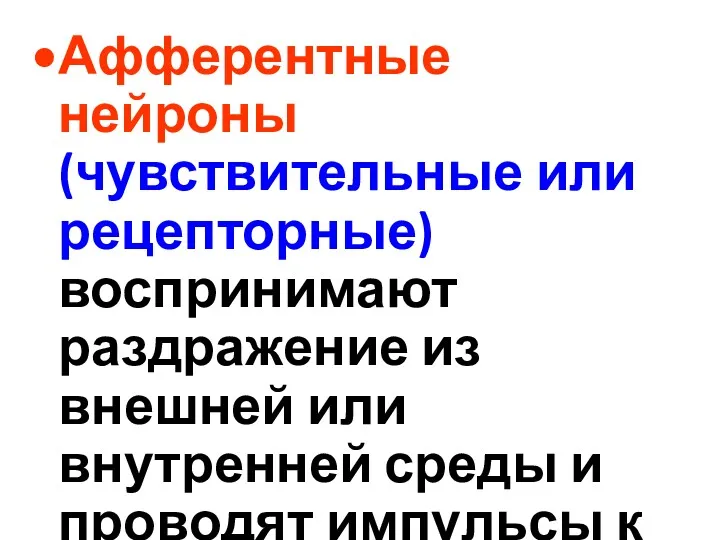 Афферентные нейроны (чувствительные или рецепторные) воспринимают раздражение из внешней или