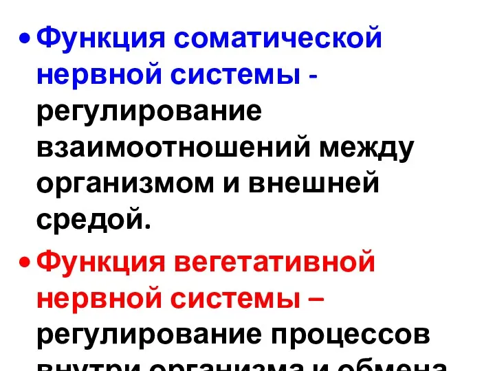 Функция соматической нервной системы - регулирование взаимоотношений между организмом и