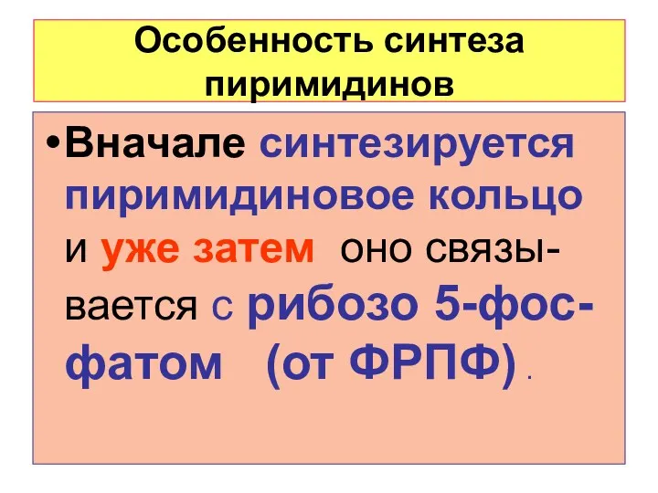 Особенность синтеза пиримидинов Вначале синтезируется пиримидиновое кольцо и уже затем