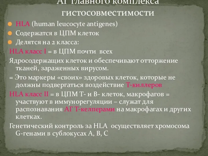 HLA (human leucocyte antigenes) Содержатся в ЦПМ клеток Делятся на