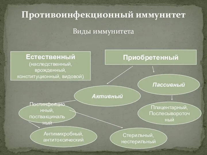 Виды иммунитета Противоинфекционный иммунитет Естественный (наследственный, врожденный, конституционный, видовой) Приобретенный