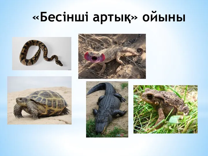 «Бесінші артық» ойыны