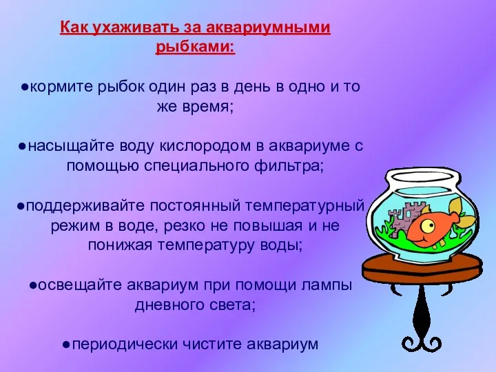 Как ухаживать за аквариумными рыбками: кормите рыбок один раз в