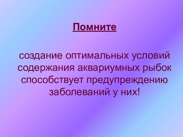 Помните создание оптимальных условий содержания аквариумных рыбок способствует предупреждению заболеваний у них!