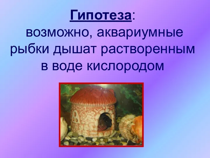 Гипотеза: возможно, аквариумные рыбки дышат растворенным в воде кислородом