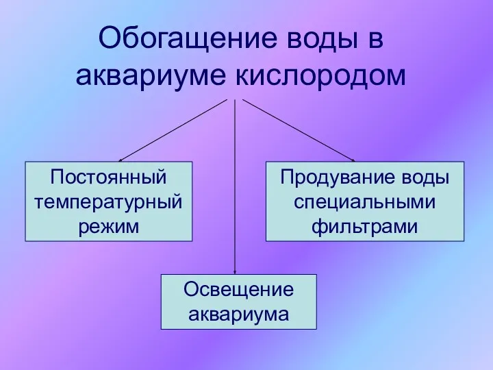 Обогащение воды в аквариуме кислородом Освещение аквариума Постоянный температурный режим Продувание воды специальными фильтрами