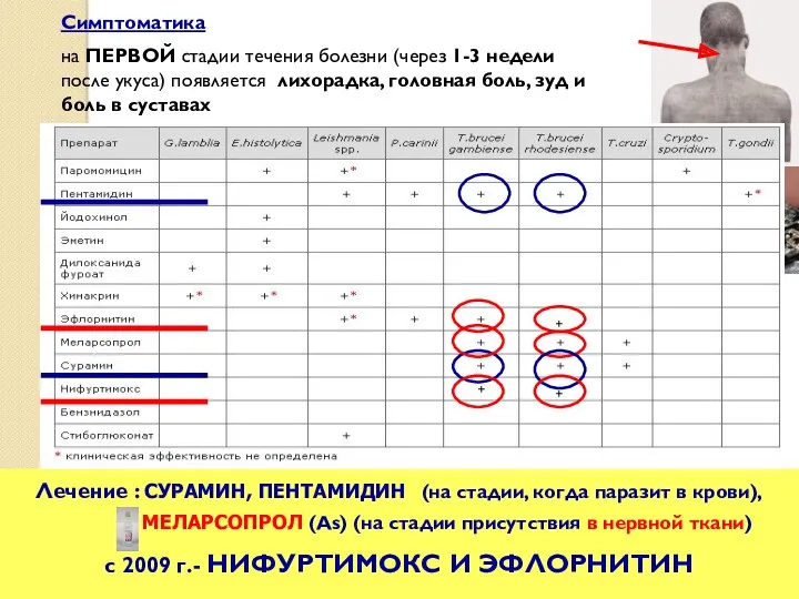 Лечение : СУРАМИН, ПЕНТАМИДИН (на стадии, когда паразит в крови),